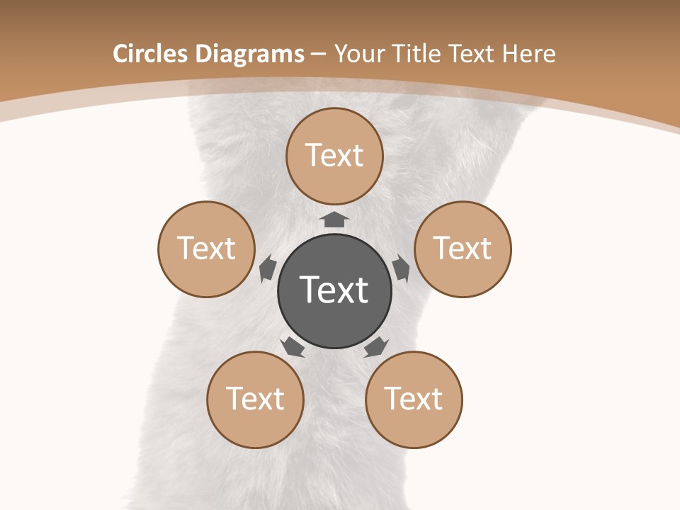 Hair Pedigree Fun PowerPoint Template