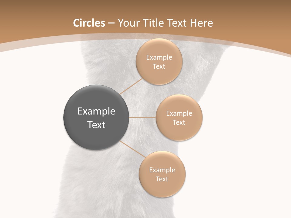 Hair Pedigree Fun PowerPoint Template