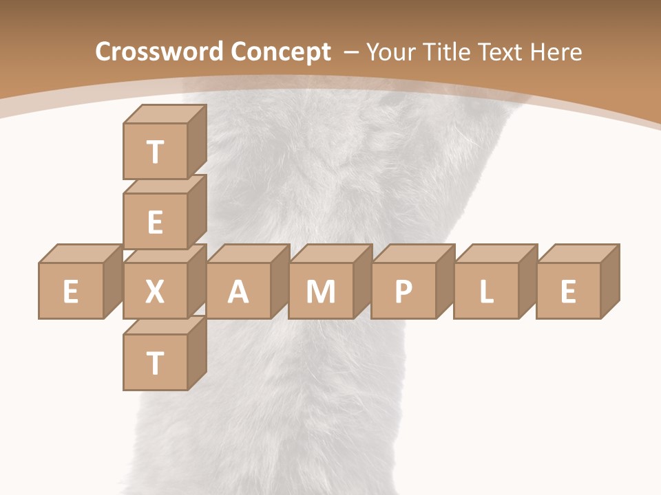 Hair Pedigree Fun PowerPoint Template