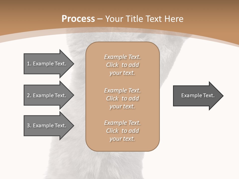 Hair Pedigree Fun PowerPoint Template