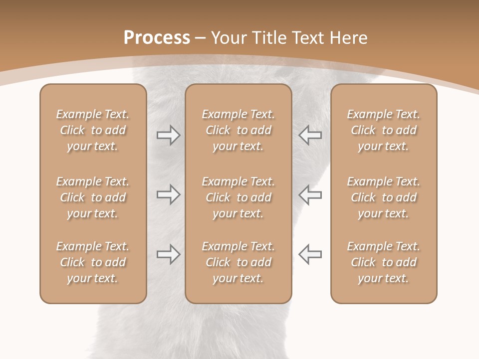 Hair Pedigree Fun PowerPoint Template