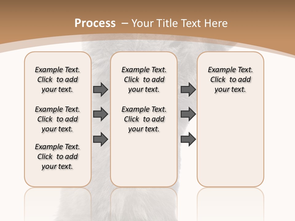 Hair Pedigree Fun PowerPoint Template