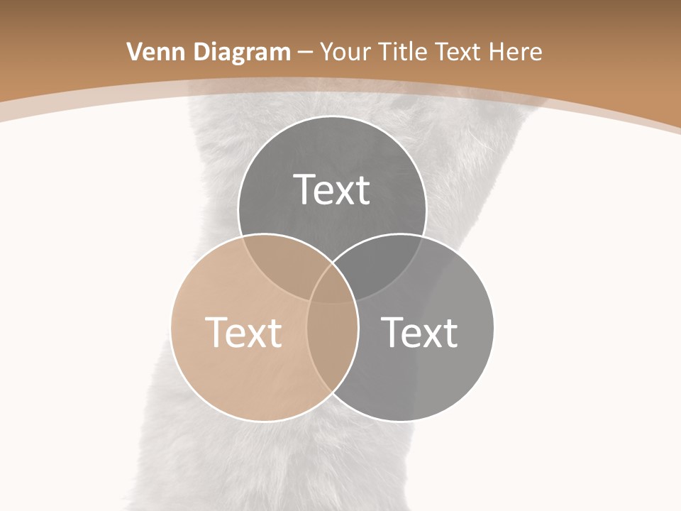 Hair Pedigree Fun PowerPoint Template