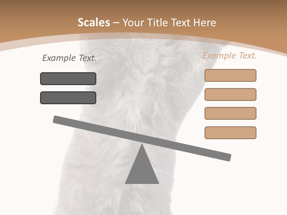 Hair Pedigree Fun PowerPoint Template