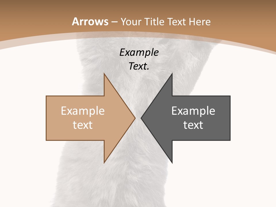 Hair Pedigree Fun PowerPoint Template