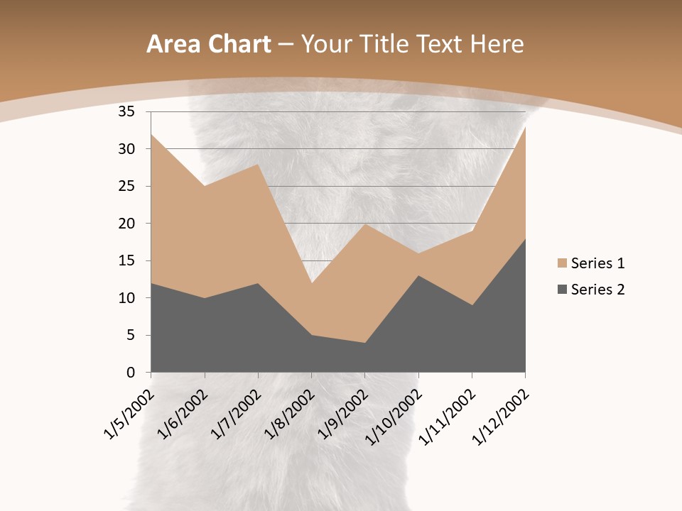 Hair Pedigree Fun PowerPoint Template