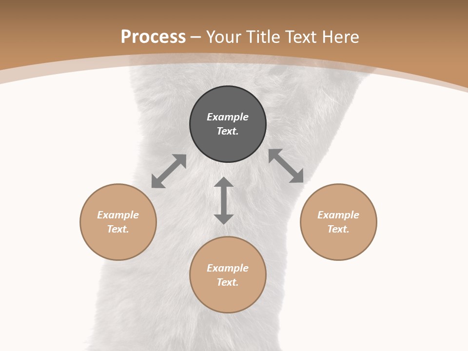 Hair Pedigree Fun PowerPoint Template