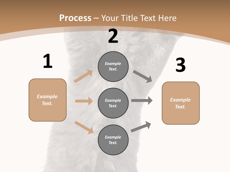 Hair Pedigree Fun PowerPoint Template