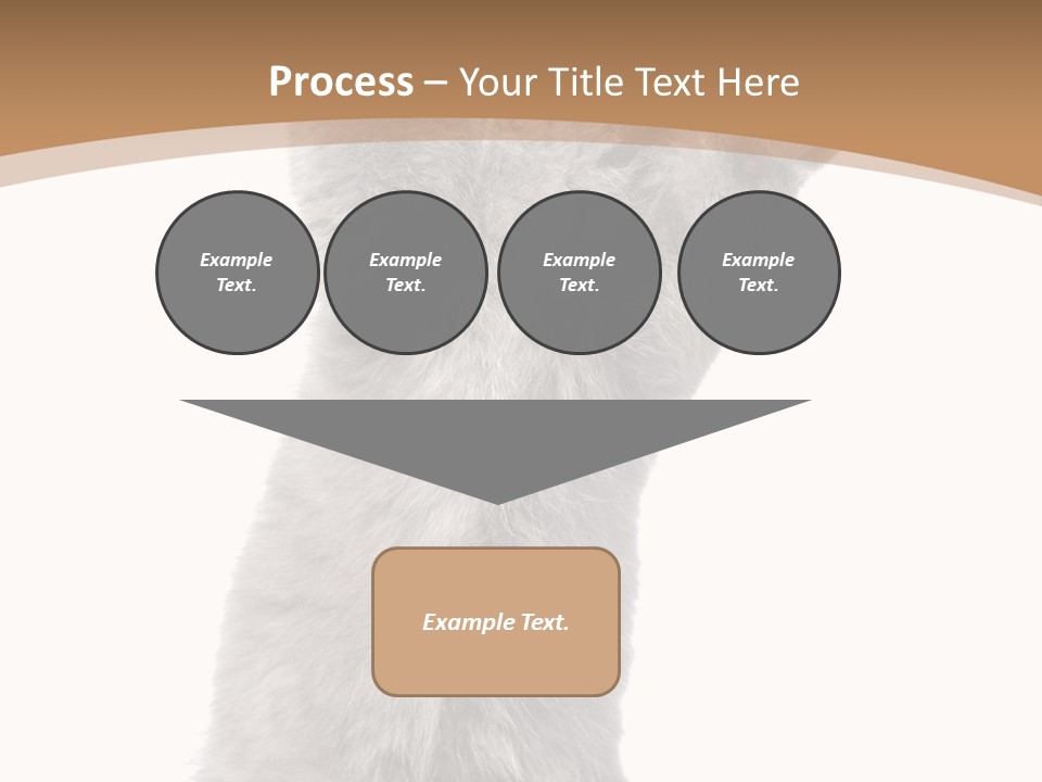 Hair Pedigree Fun PowerPoint Template