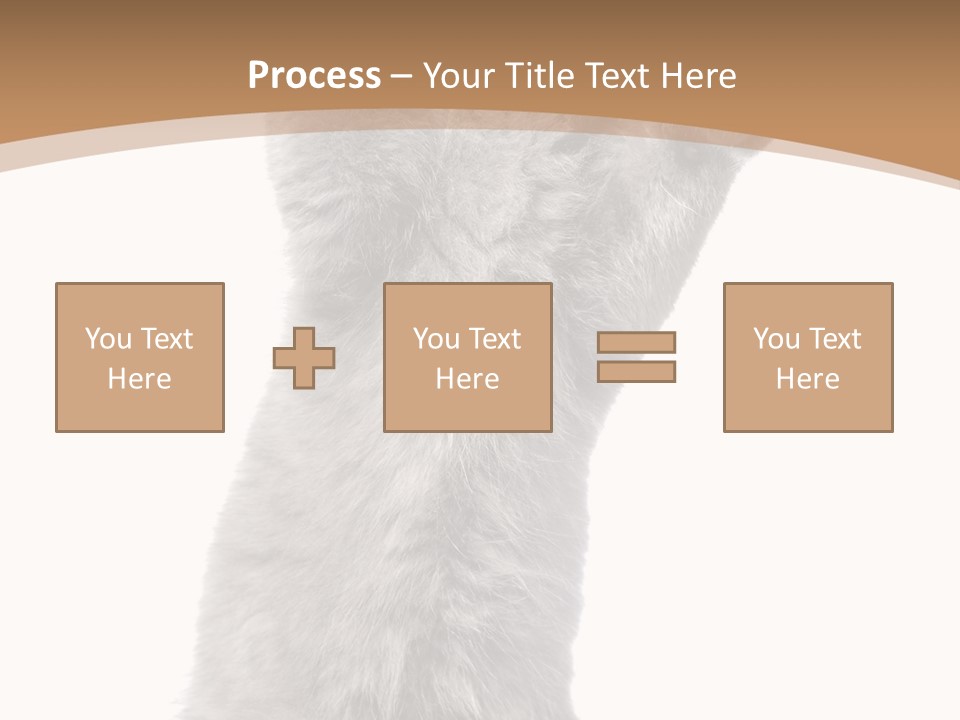Hair Pedigree Fun PowerPoint Template