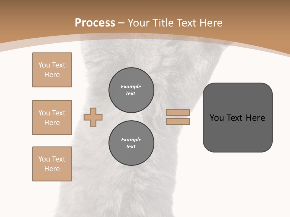 Hair Pedigree Fun PowerPoint Template