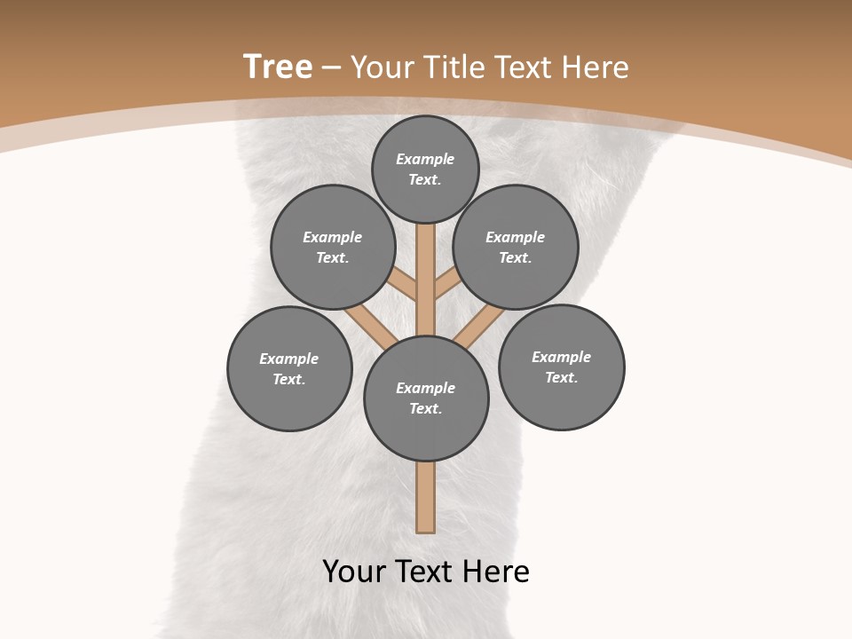 Hair Pedigree Fun PowerPoint Template