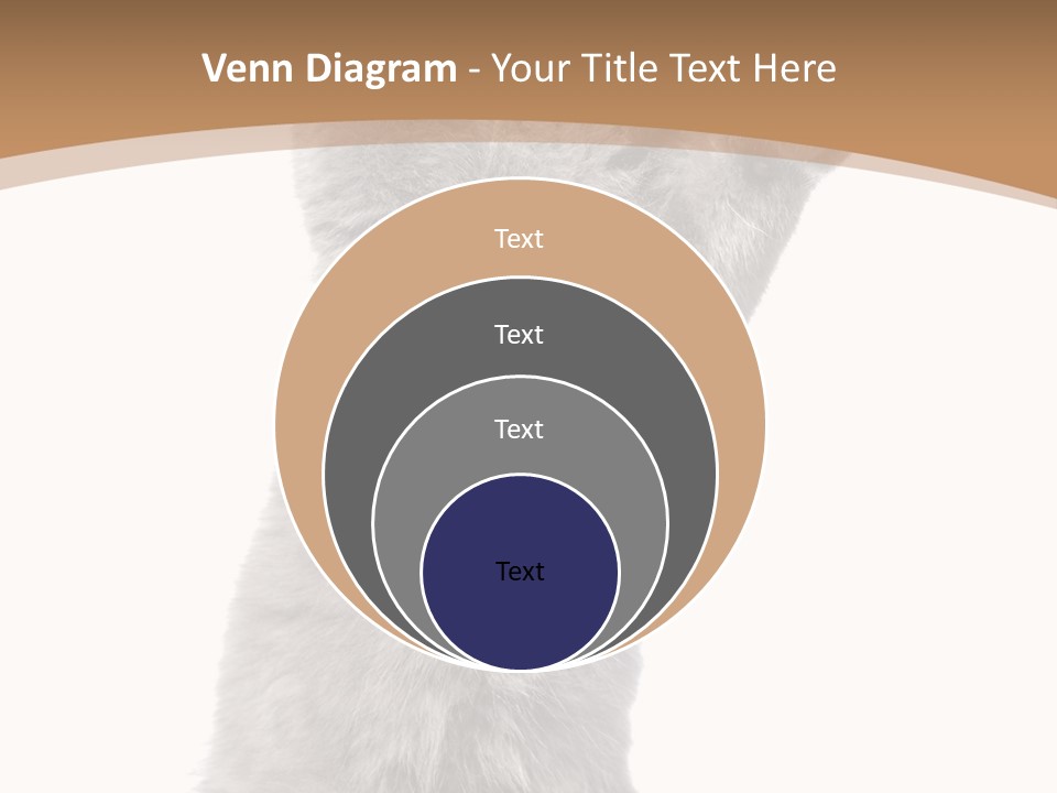 Hair Pedigree Fun PowerPoint Template