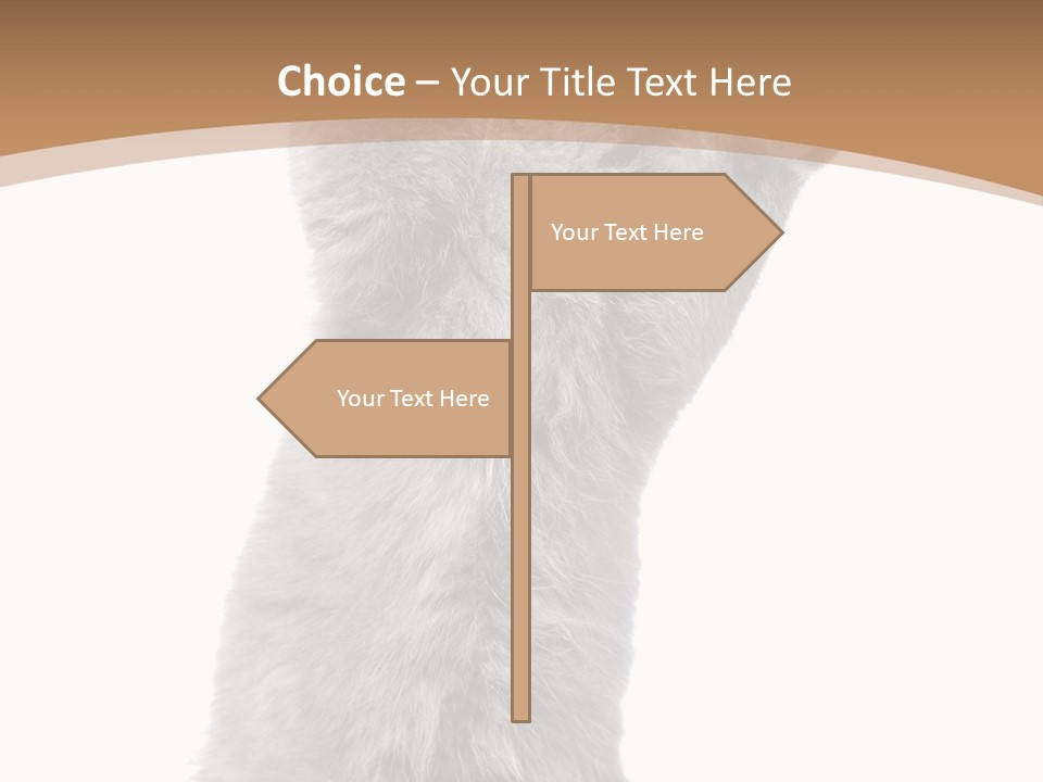 Hair Pedigree Fun PowerPoint Template