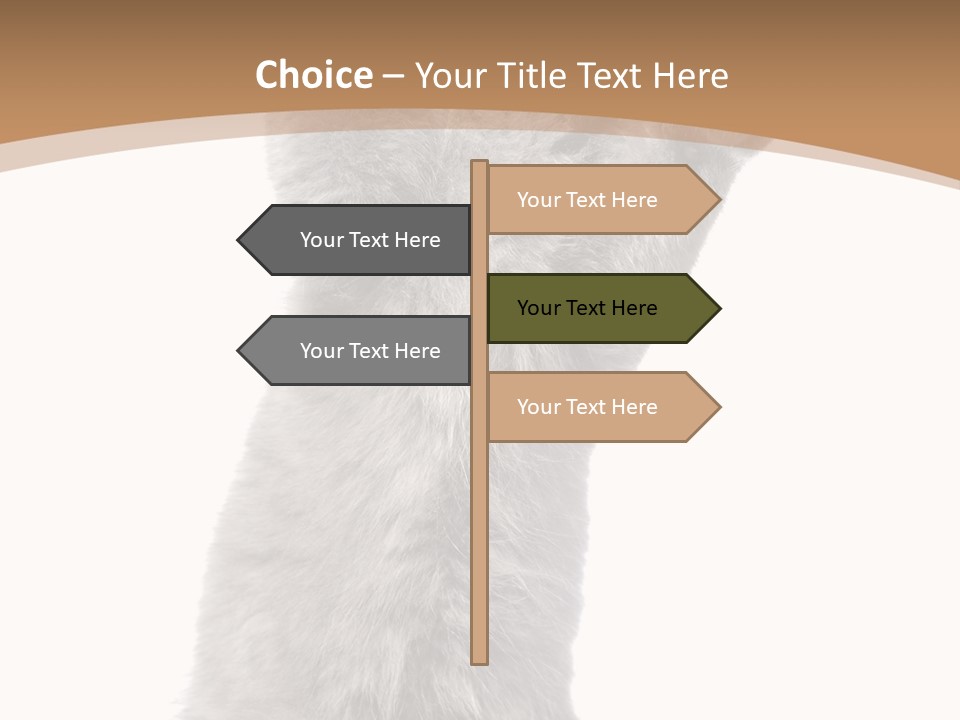 Hair Pedigree Fun PowerPoint Template