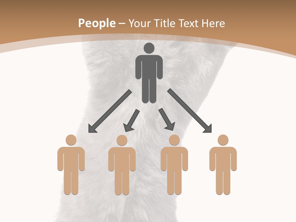 Hair Pedigree Fun PowerPoint Template