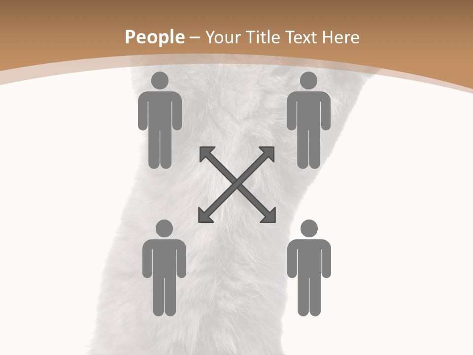 Hair Pedigree Fun PowerPoint Template