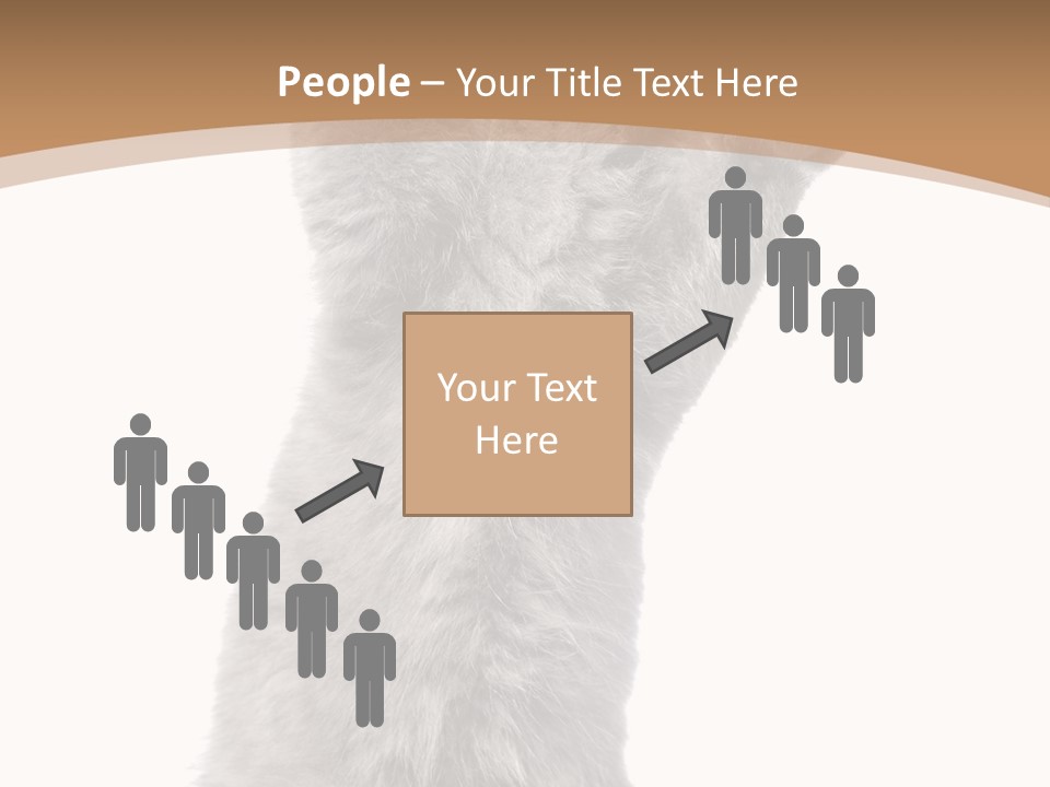 Hair Pedigree Fun PowerPoint Template