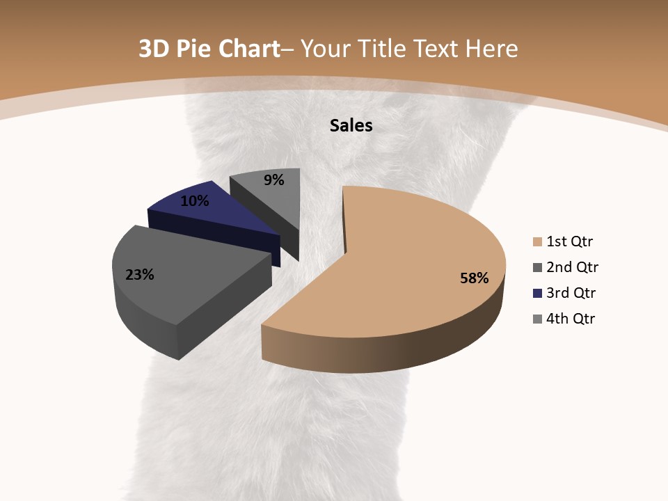 Hair Pedigree Fun PowerPoint Template