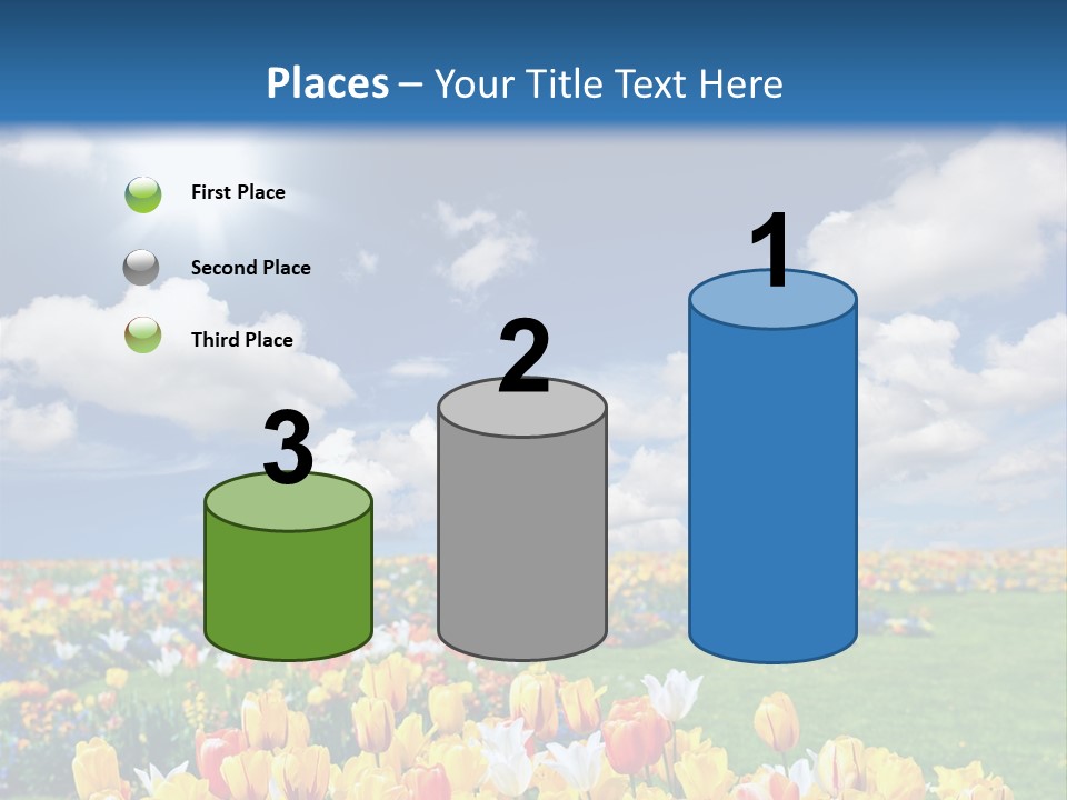 Blue Sun Park PowerPoint Template