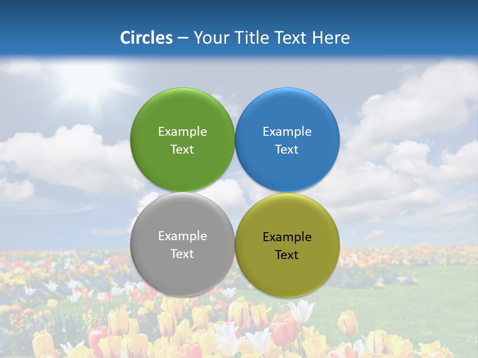 Blue Sun Park PowerPoint Template