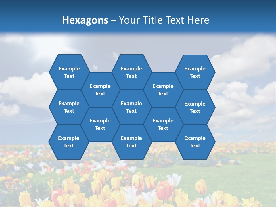 Blue Sun Park PowerPoint Template