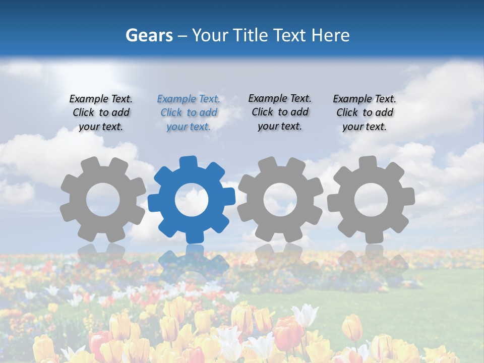 Blue Sun Park PowerPoint Template