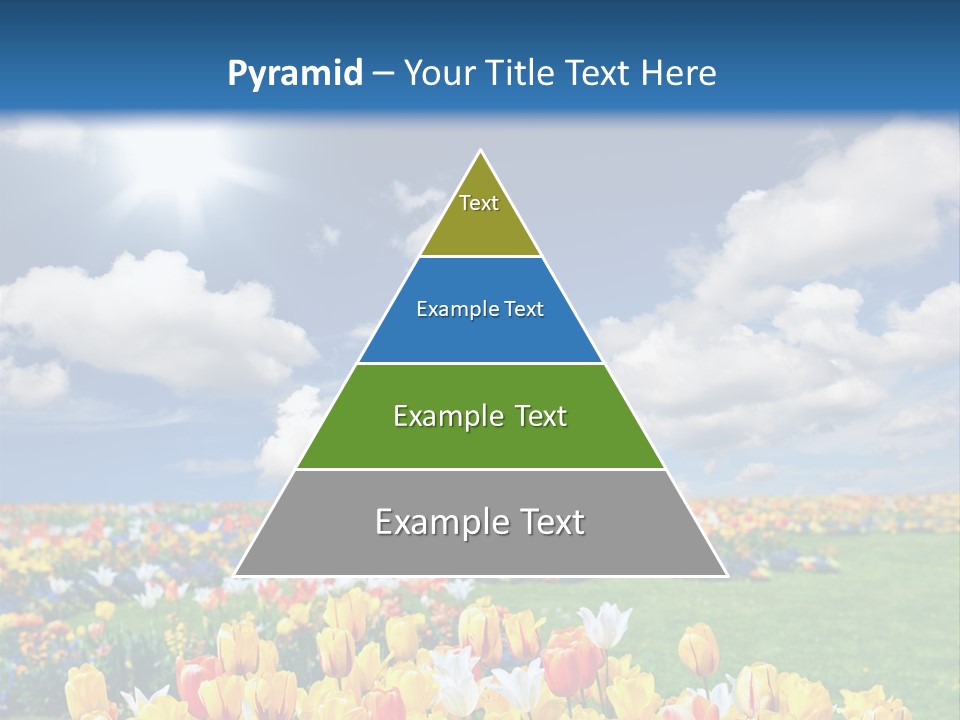 Blue Sun Park PowerPoint Template