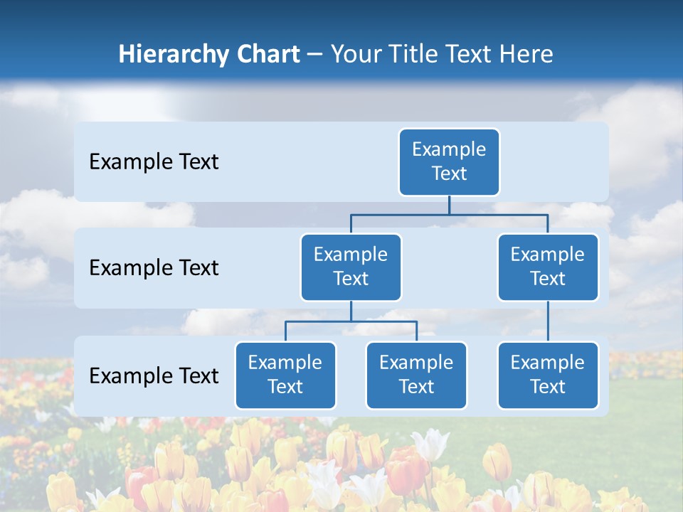 Blue Sun Park PowerPoint Template