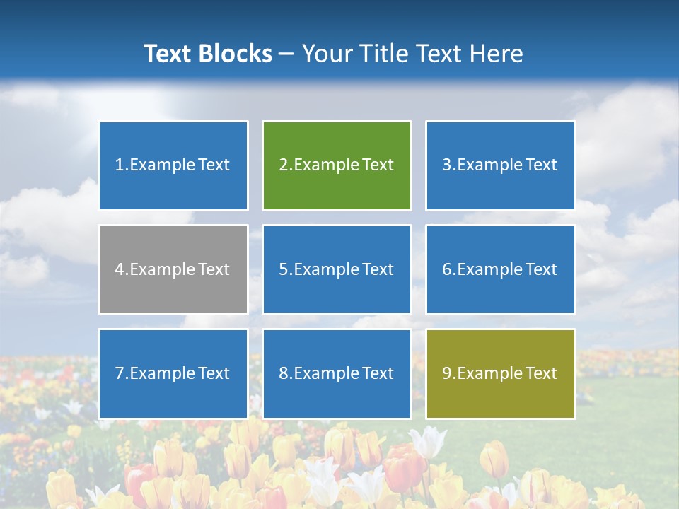 Blue Sun Park PowerPoint Template