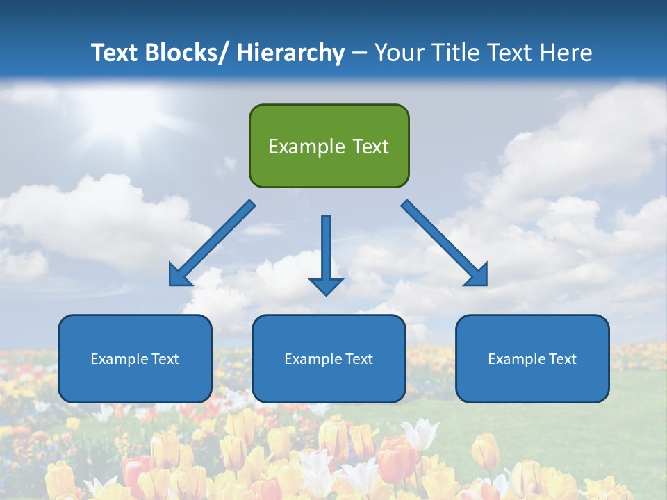 Blue Sun Park PowerPoint Template