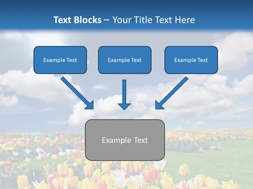 Blue Sun Park PowerPoint Template