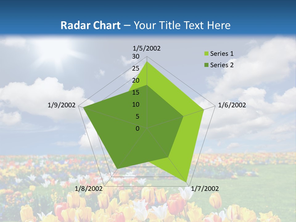 Blue Sun Park PowerPoint Template