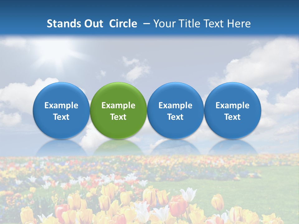 Blue Sun Park PowerPoint Template