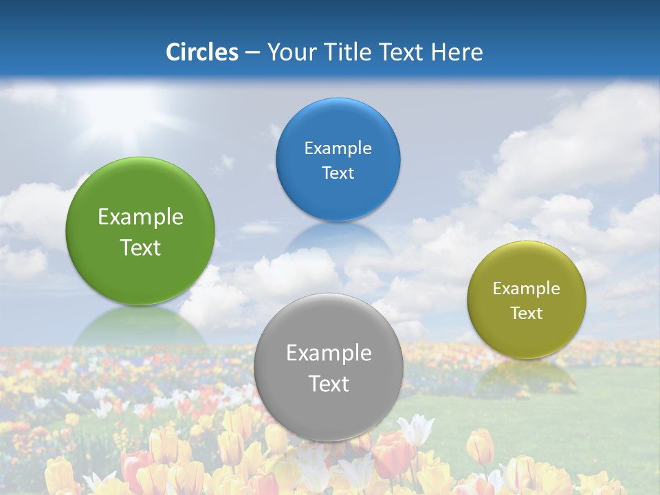 Blue Sun Park PowerPoint Template