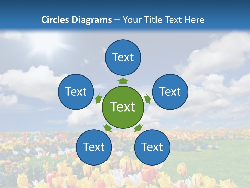 Blue Sun Park PowerPoint Template