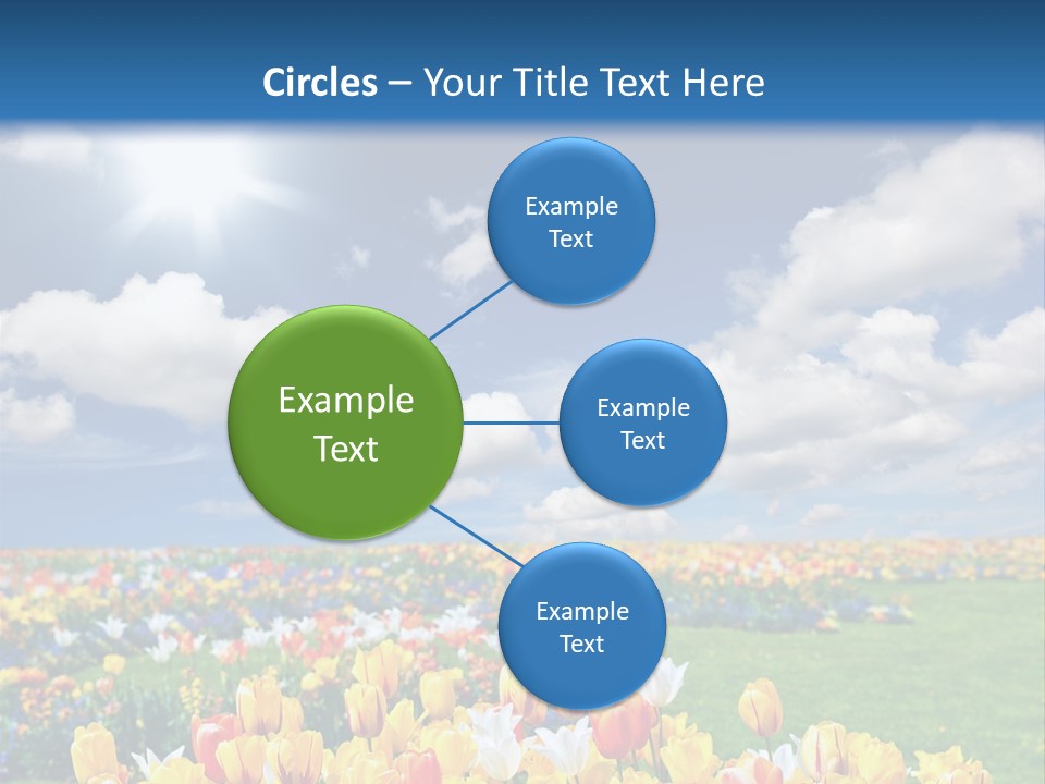 Blue Sun Park PowerPoint Template