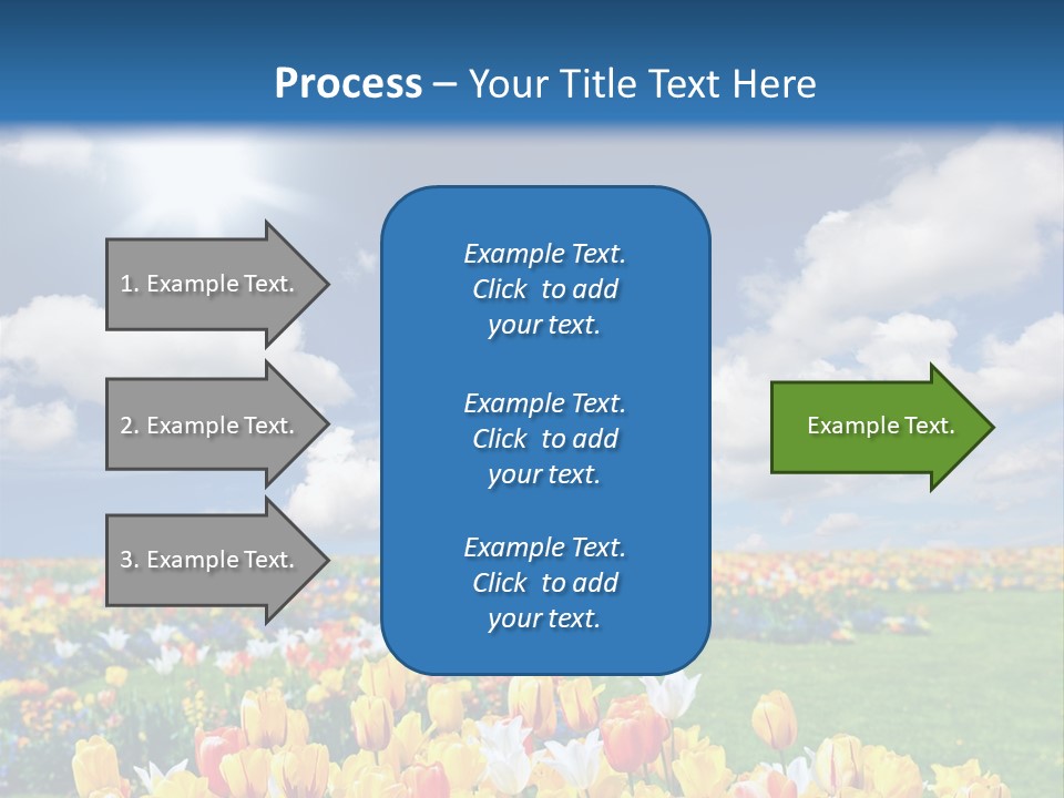 Blue Sun Park PowerPoint Template
