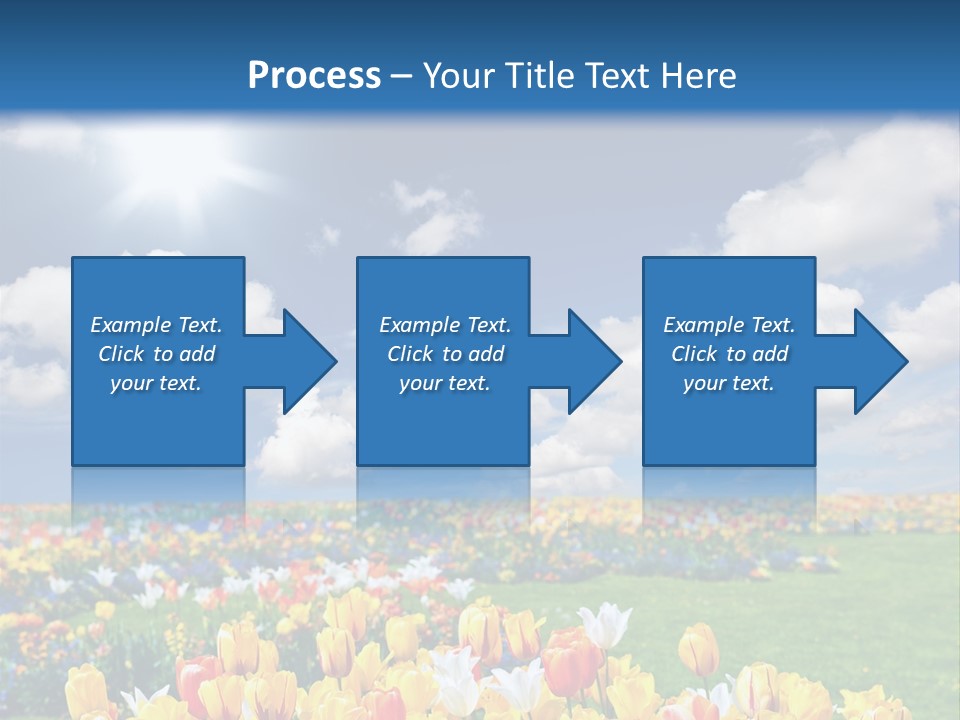 Blue Sun Park PowerPoint Template