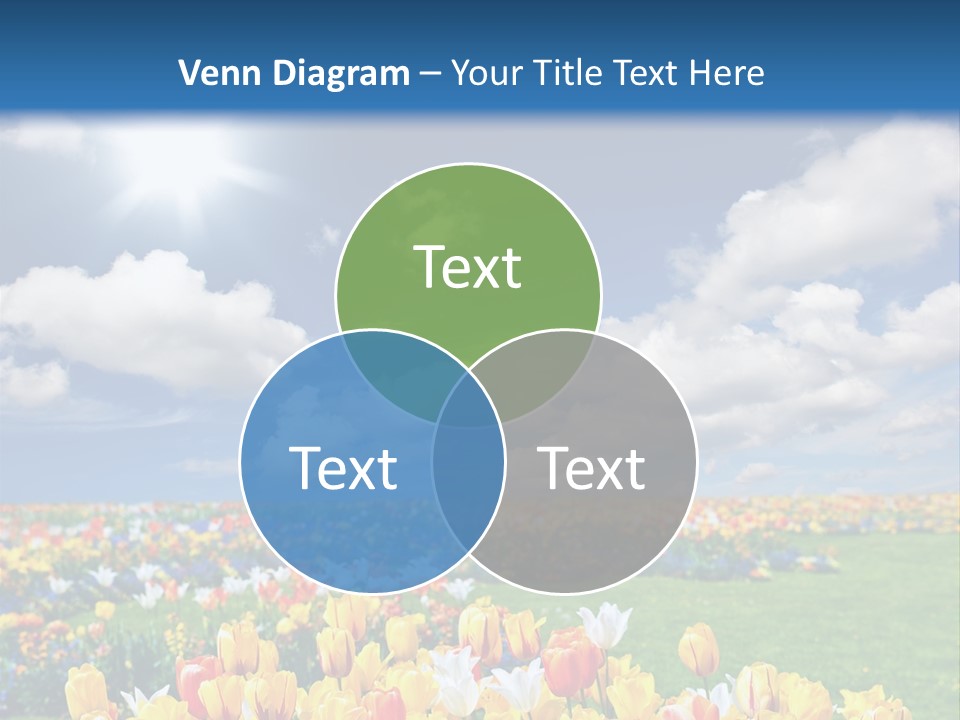 Blue Sun Park PowerPoint Template