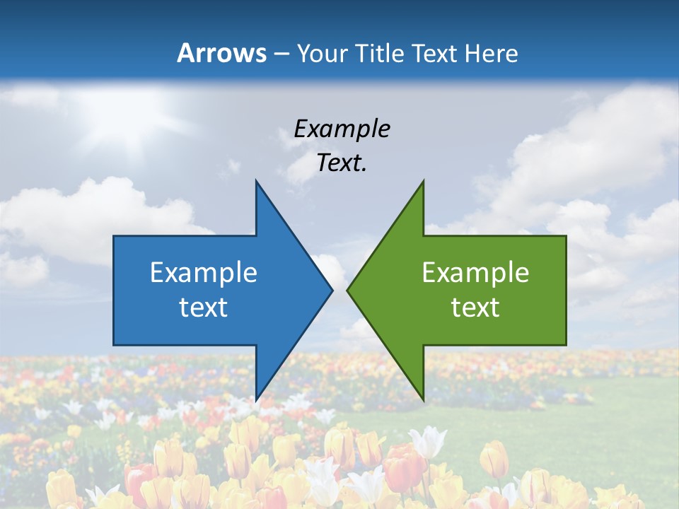 Blue Sun Park PowerPoint Template