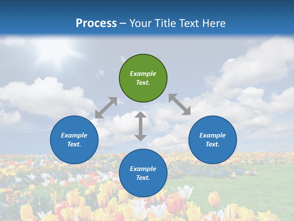 Blue Sun Park PowerPoint Template
