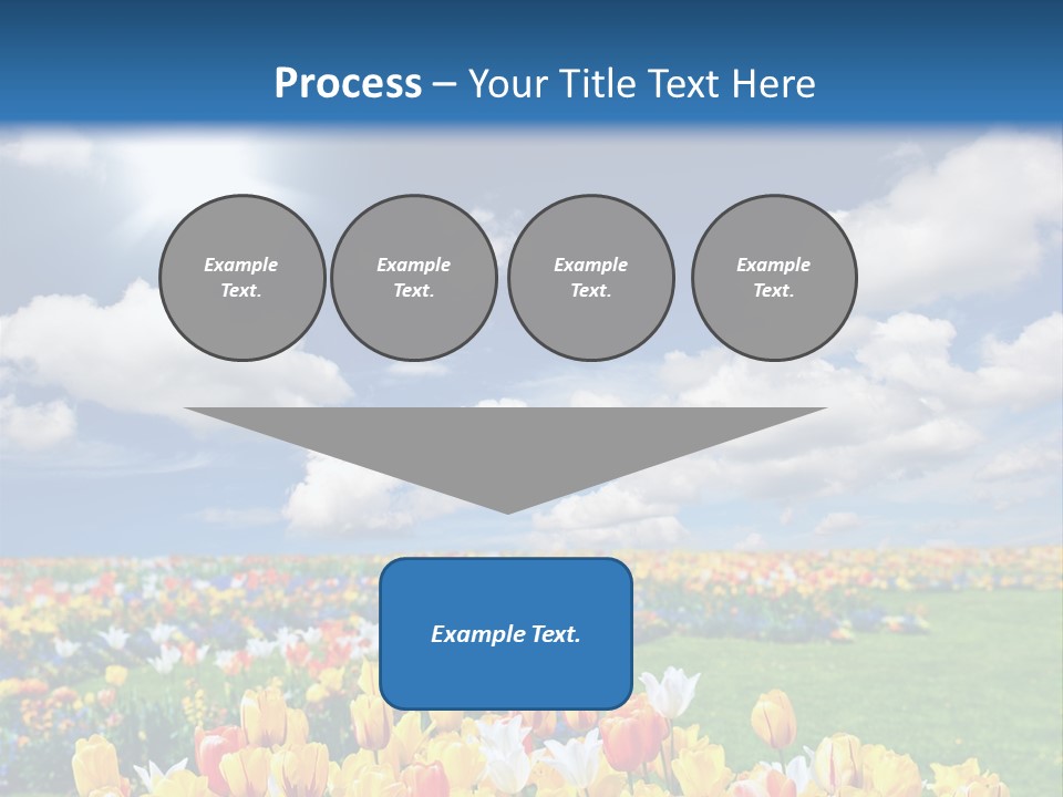 Blue Sun Park PowerPoint Template