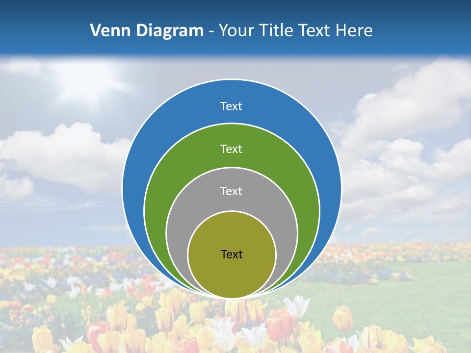 Blue Sun Park PowerPoint Template
