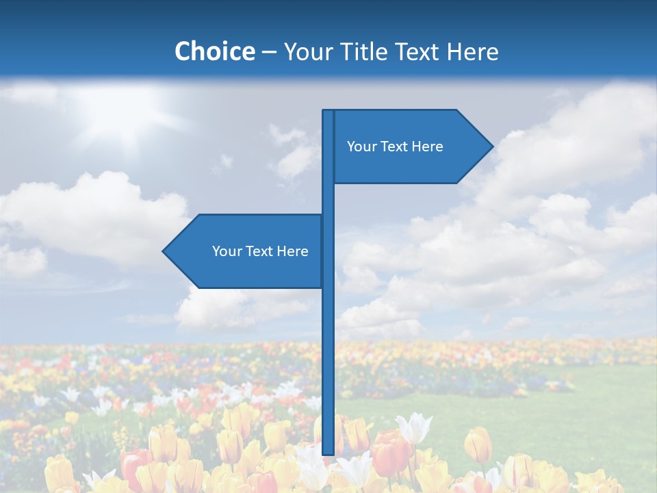 Blue Sun Park PowerPoint Template