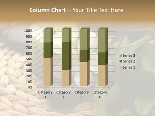 Natural Wicker Leaf PowerPoint Template