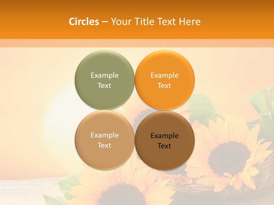 Teamwork Meeting Office PowerPoint Template