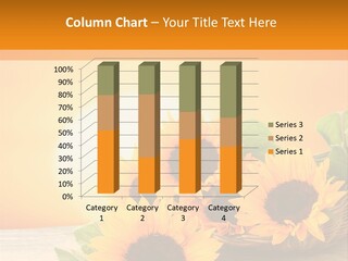 Teamwork Meeting Office PowerPoint Template