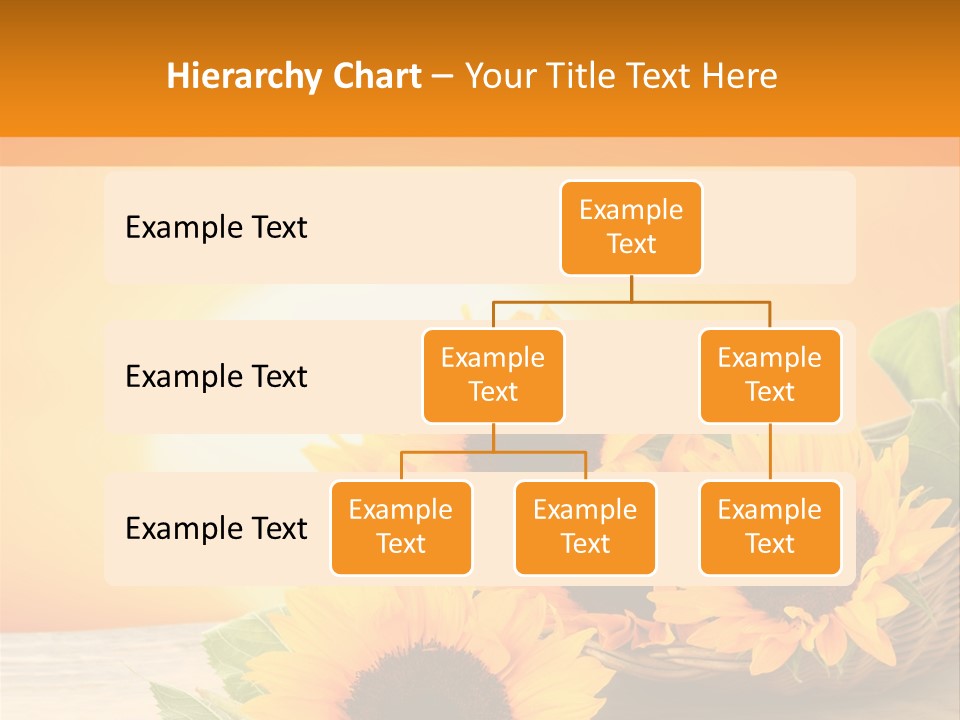 Teamwork Meeting Office PowerPoint Template