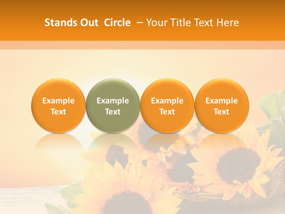 Teamwork Meeting Office PowerPoint Template